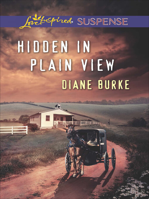 Title details for Hidden in Plain View by Diane Burke - Wait list
